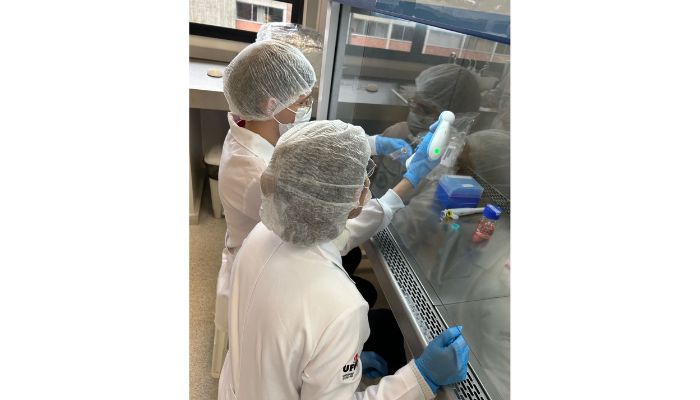  Projeto apoiado pelo Estado estuda produção alternativa de colágeno de jumento